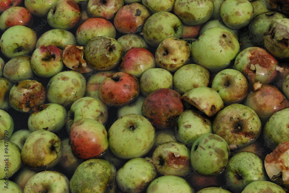 Äpfel Äpfel