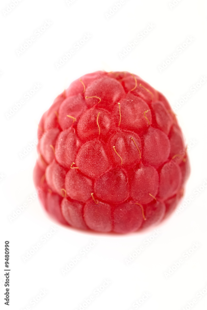 framboise framboise
