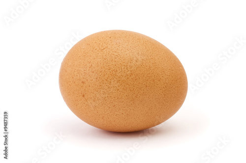 Single chicken egg