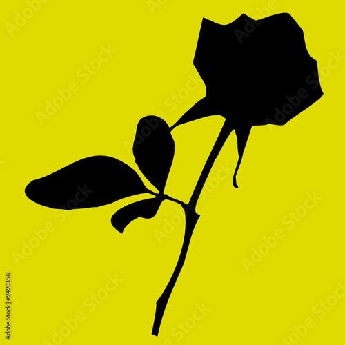 Silhouette rose