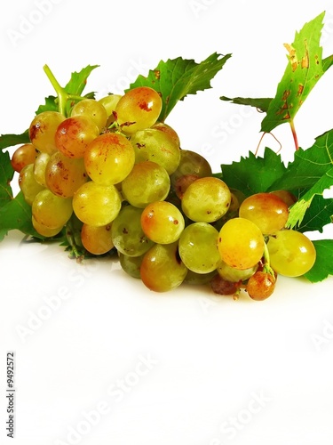 grappe de muscat d'Alexandrie photo