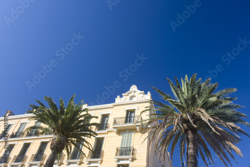 old villa with palm trees