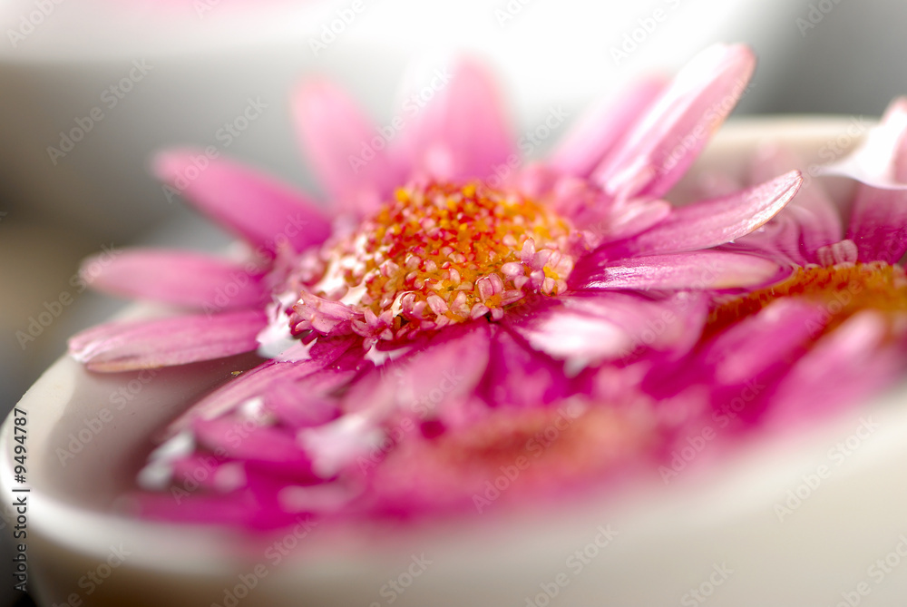 fleur fleur