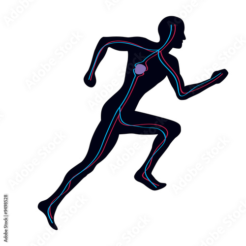 Man Running Showing Both Vascular Blood Systems