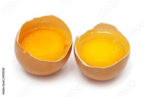 Two raw eggs tear into half with yolk and albumin.