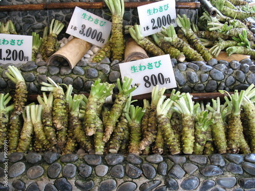 Wasabi root for sale in a typical japanese market