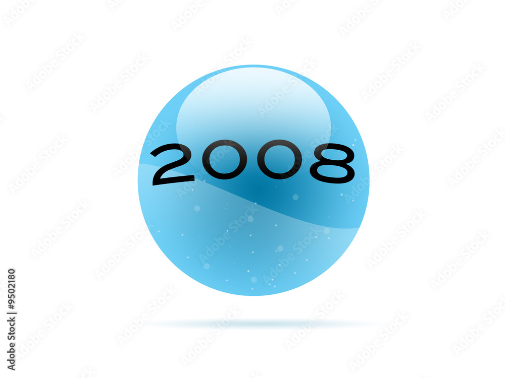 Year 2008