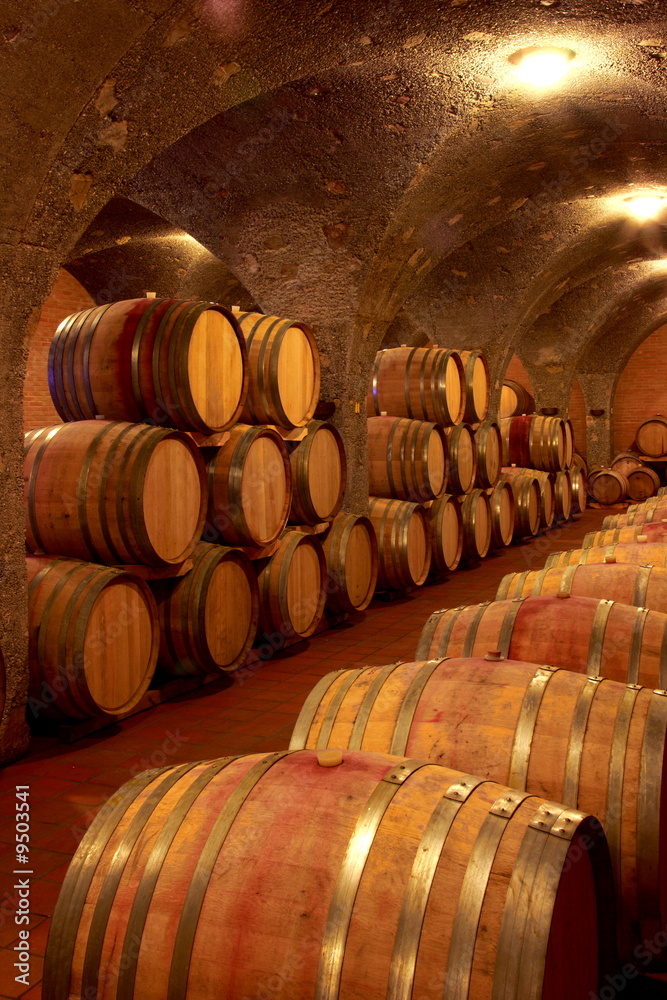 Weinkeller,Rotwein im Barrique Faß ausgebaut,Toskana,Italien Weinkeller,Rotwein im Barrique Faß ausgebaut,Toskana,Italien