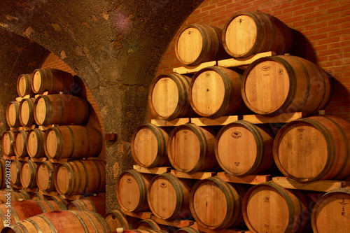 Weinkeller,Rotwein im Barrique Faß ausgebaut,Toskana,Italien