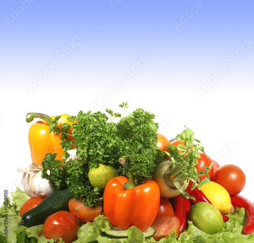 Different fresh tasty vegetables isolated on white background