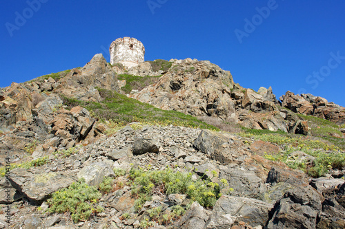 Tour de la Parata corse photo