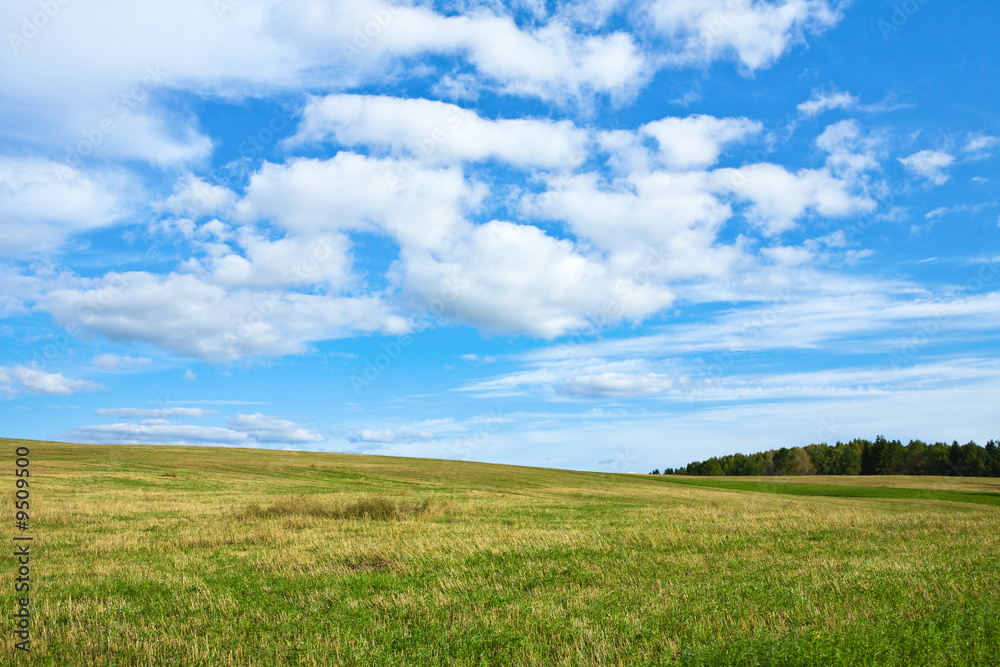 Sunny day with blue sky and autumn field