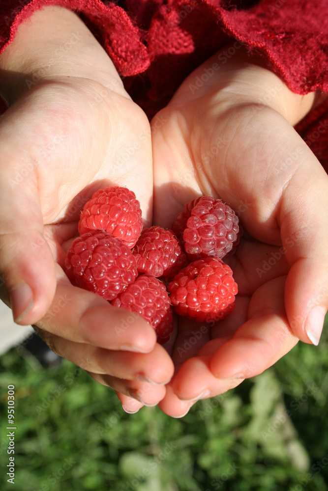 Framboise Framboise