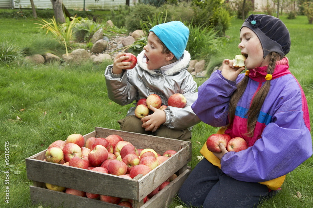 Fototapeta premium Brother and sister posing outdoors with apples