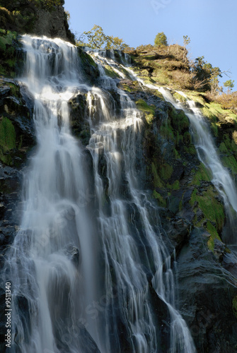 Powerscourt Waterfall  Ireland highest    The River Dargle 1
