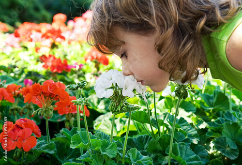 a small girl smelling some flowers photo