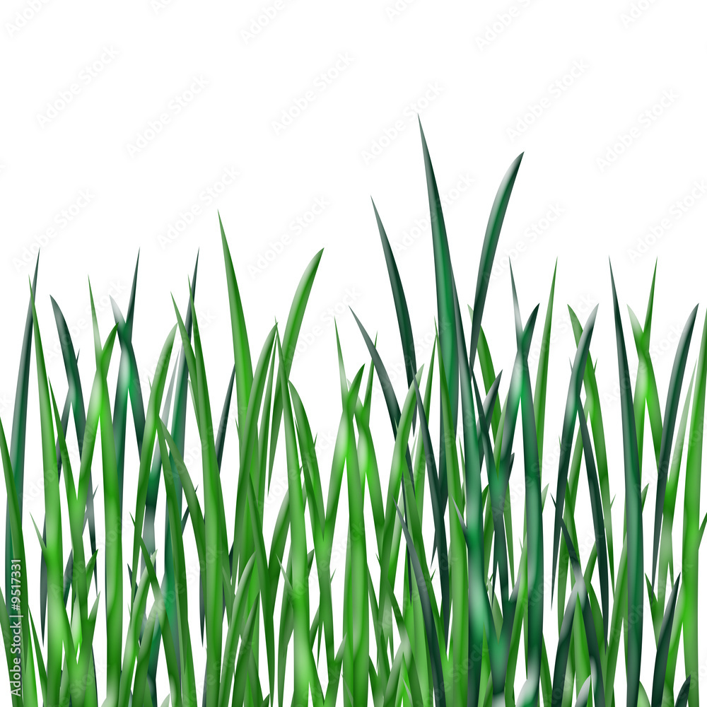 Herbes hautes Herbes hautes