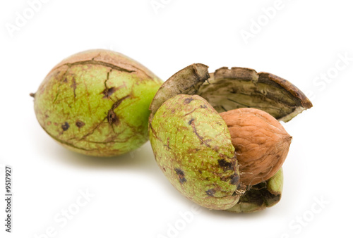 fresh ripe walnuts on white background