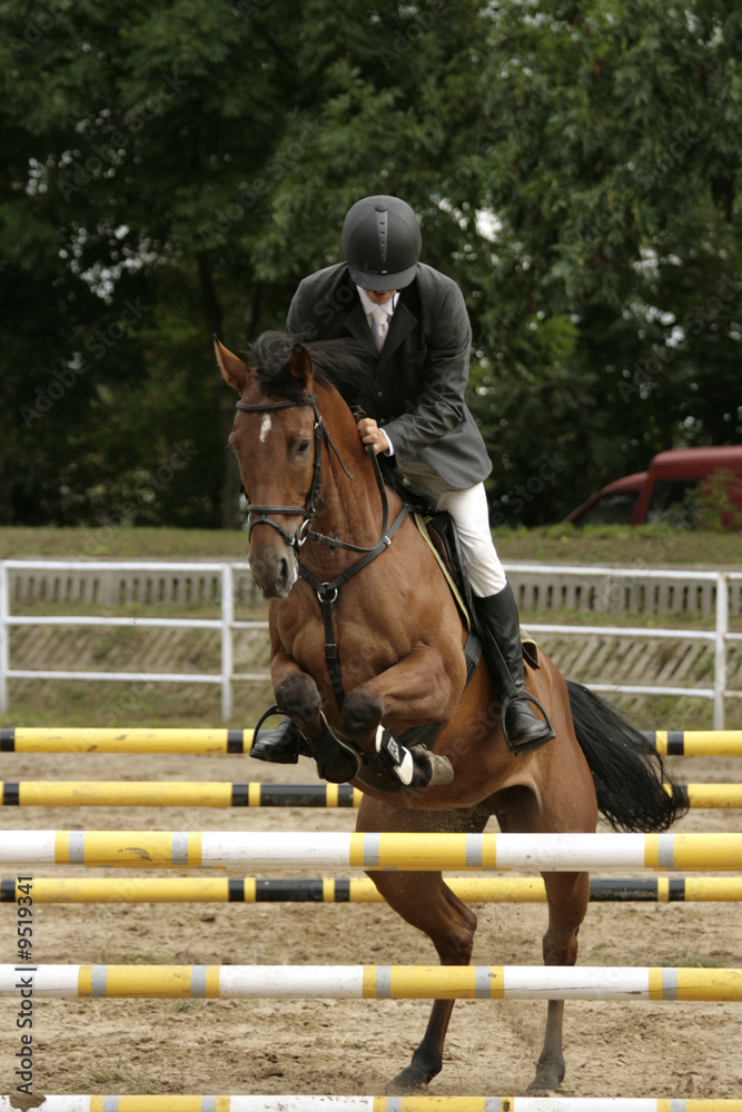 Horse jumping show Horse jumping show