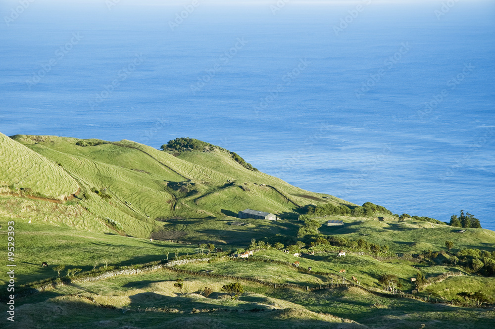 Idyllic green pasture landscape of Pico island, Azores