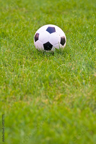 Soccer ball on grass field © Darren Pellegrino