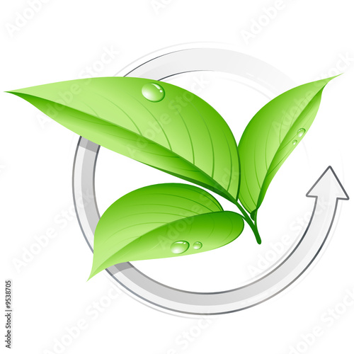 Concept nature recyclée