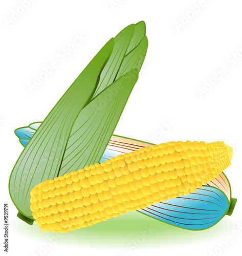 Corn