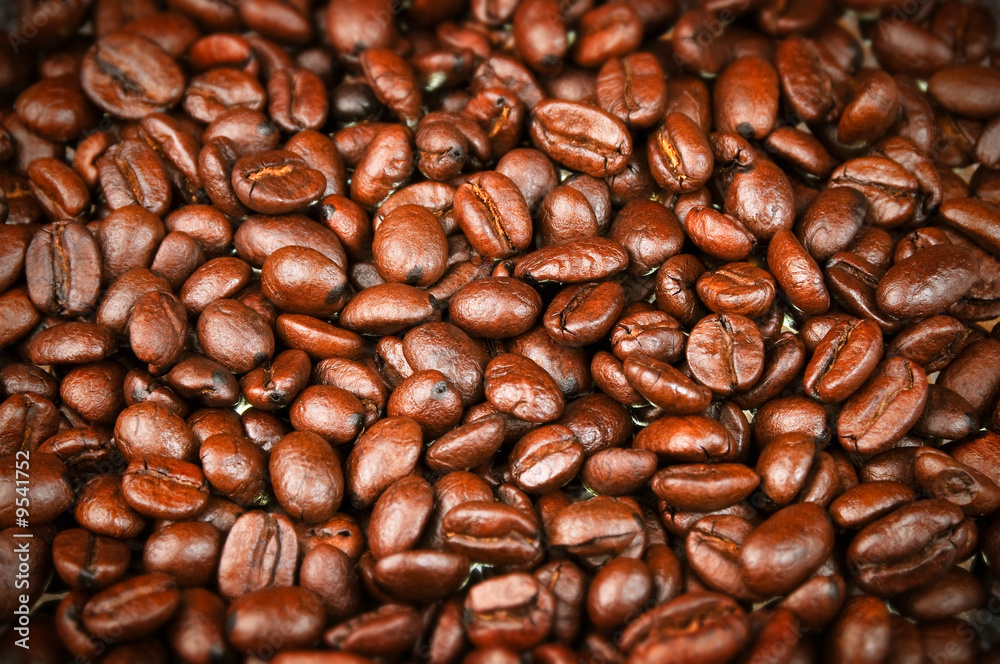 Fresh Roasted Coffee Beans, Espresso, Java w/ rich color Fresh Roasted Coffee Beans, Espresso, Java w/ rich color
