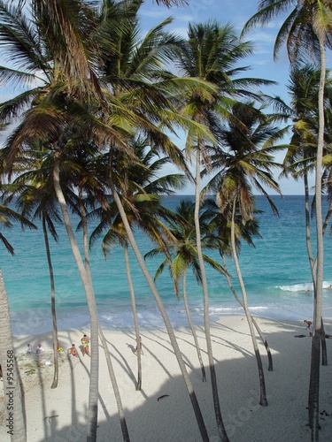 Bottom Bay Beach  Barbados