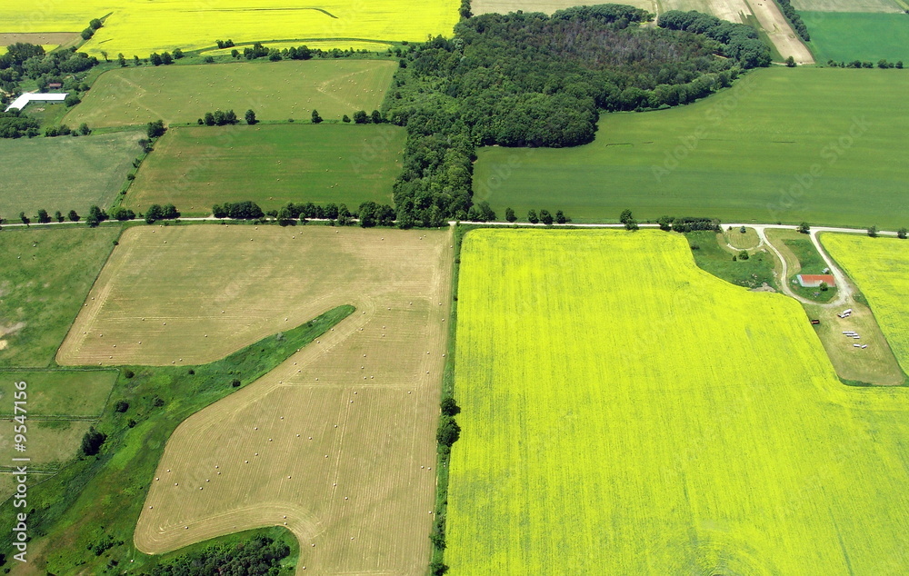 Naklejka premium Typical aerial view of green fields and farms.