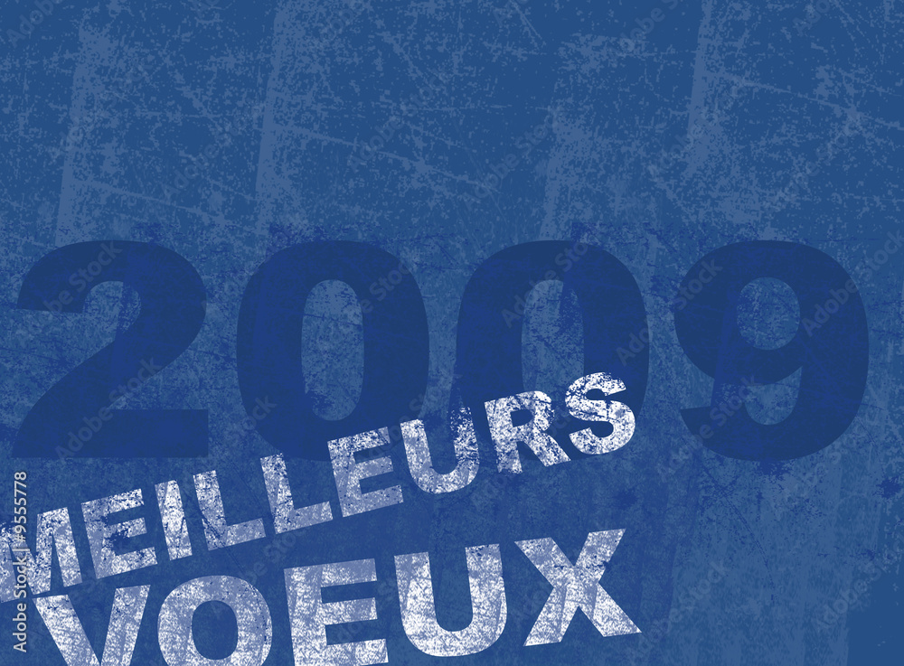 Fototapeta premium Voeux 2009 V6