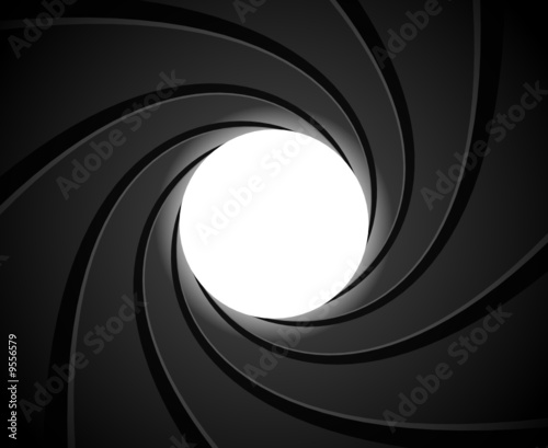 Inside of a gun barrel