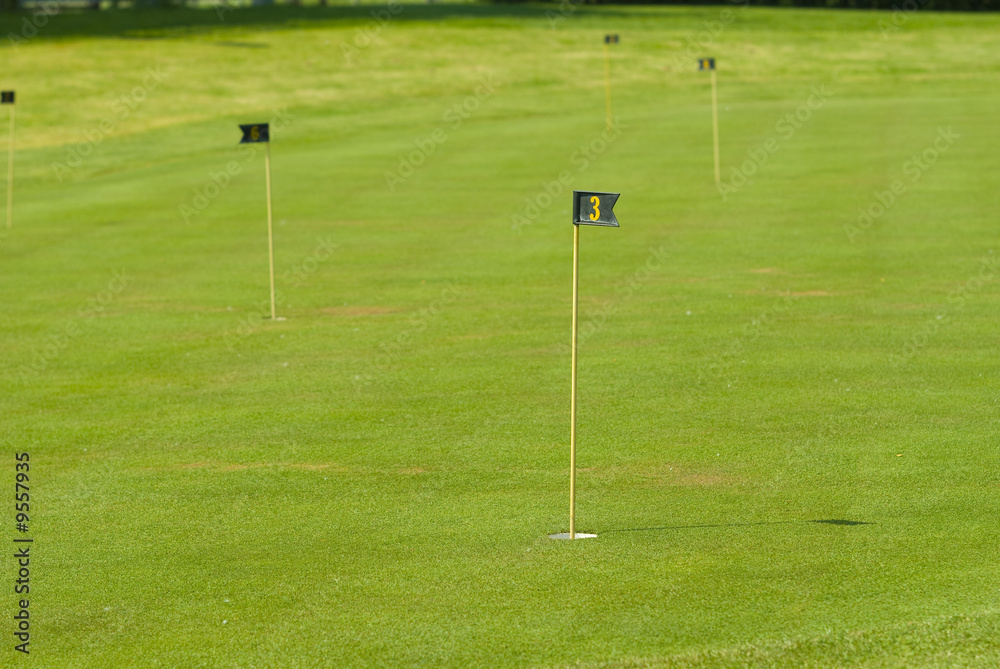 Golf club view of putting green - sport Golf club view of putting green - sport