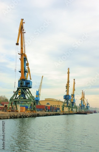 Cranes in the evening river port