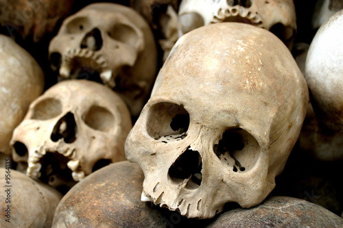 Skulls of the Killing Fields
