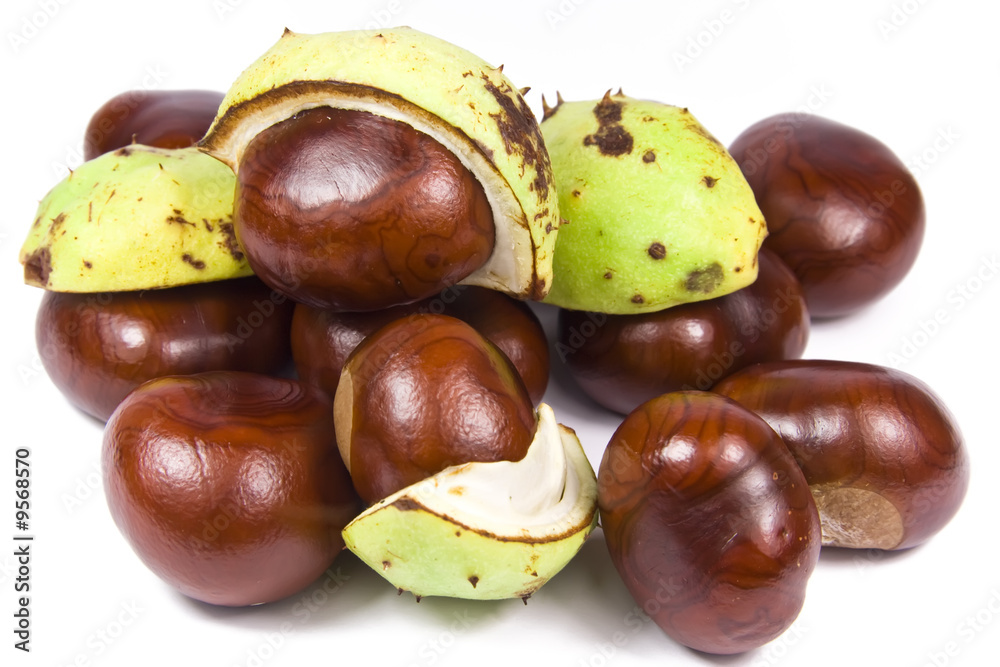 Many brown chestnuts over white background Many brown chestnuts over white background