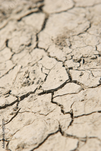 Dry field of cracked earth