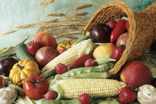 harvest cornucopia photo