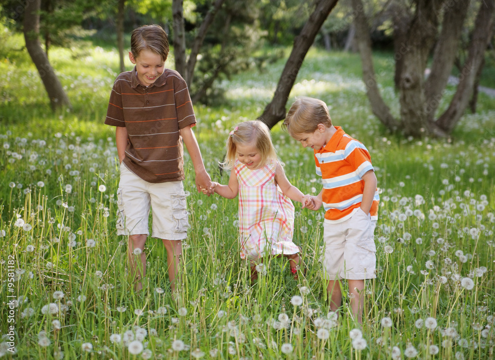 Fototapeta premium Nature Walk