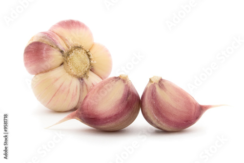 head and cloves of fresh garlic on white background