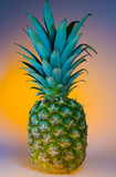 A picture of a pineapple in sundown colors