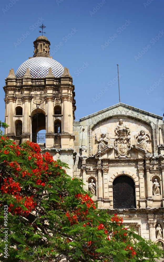 Santo Domingo with Flowers
