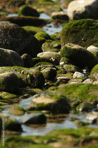 beach rocks