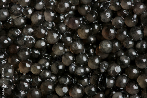 Black caviar background