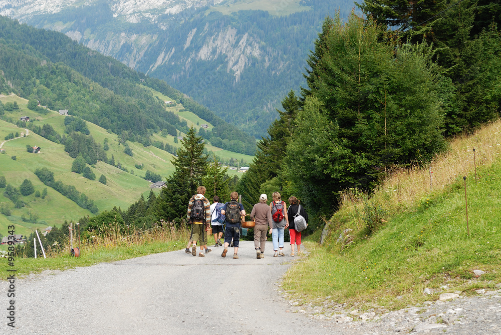 randonneurs en montagne