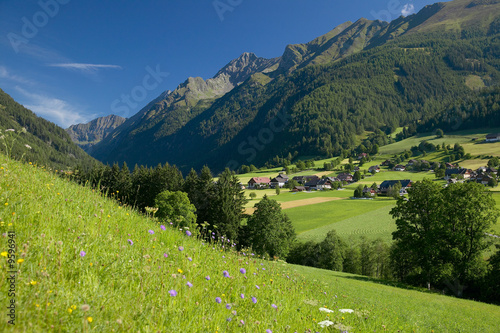 Dorf in den Alpen photo