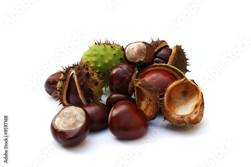 Autumn chestnuts on white background