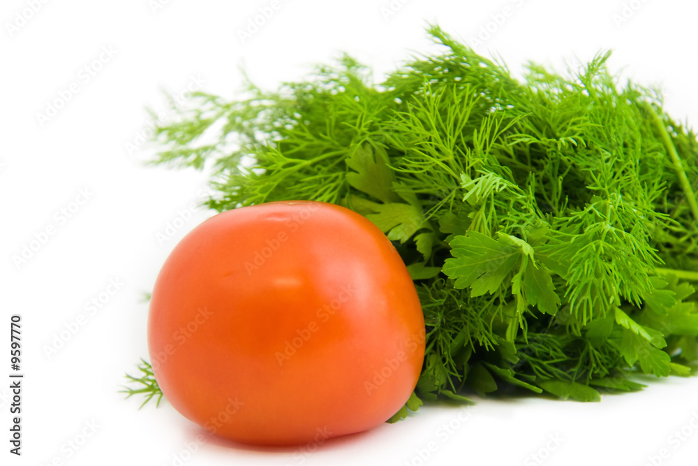 Succulent tomato with parsley for salad Succulent tomato with parsley for salad