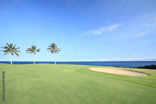 Golf Course on Green Ocean Shore of  Kona Island, Hawaii © EuToch