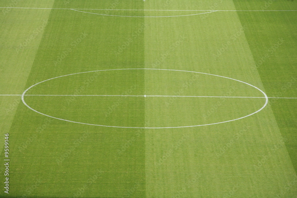 Obraz premium a empty soccerfield in a stadion...........